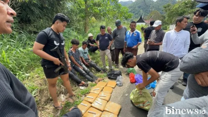 BNNP Sumbar Ungkap Peredaran Ganja 17 Kg di Agam, Tiga Kurir Diringkus