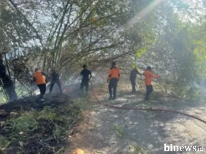 BNPB Catat Tujuh Kejadian Bencana Signifikan, Karhutla di Sumatera Kian Meluas