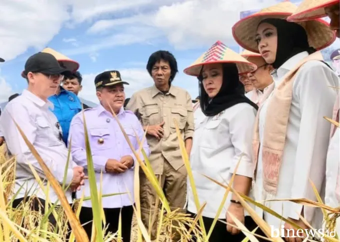 Dimulai dari Agam, Program Sawah Pokok Murah Bakal Dikembangkan Secara Nasional