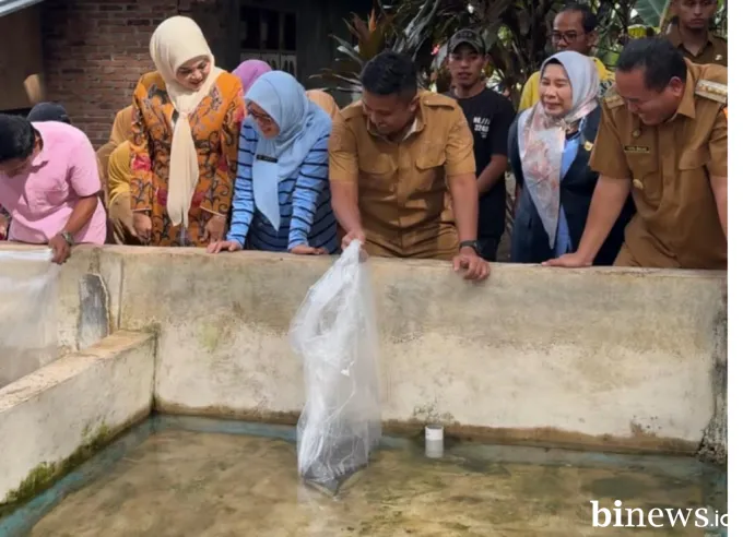 Dorong Ekonomi Lokal, Wagub Sumbar Serahkan Induk Unggul Lele kepada Pembudidaya di...