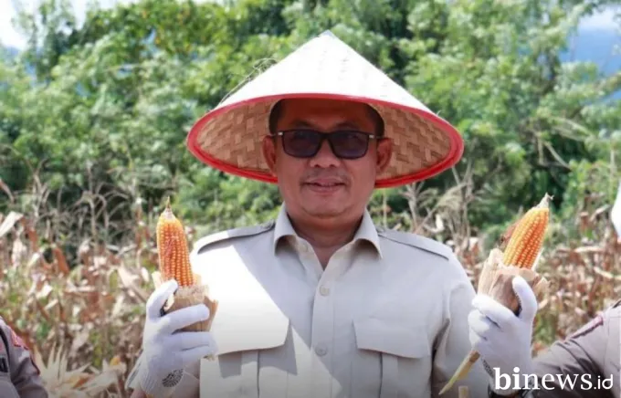 Evi Yandri: Petani Ujung Tombak Ketahanan Pangan, Panen Raya Jagung Bukti Kekuatan Daerah