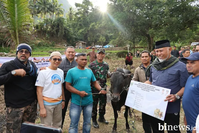 Gubernur Mahyeldi Serahkan Sapi Qurban untuk Masyarakat Kabupaten Solok