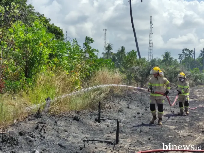 Karhutla Masih Mengancam, BNPB Fokus pada 6 Provinsi Prioritas