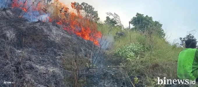 Karhutla Meluas, 157 Hektar Lahan Terbakar di Sejumlah Wilayah