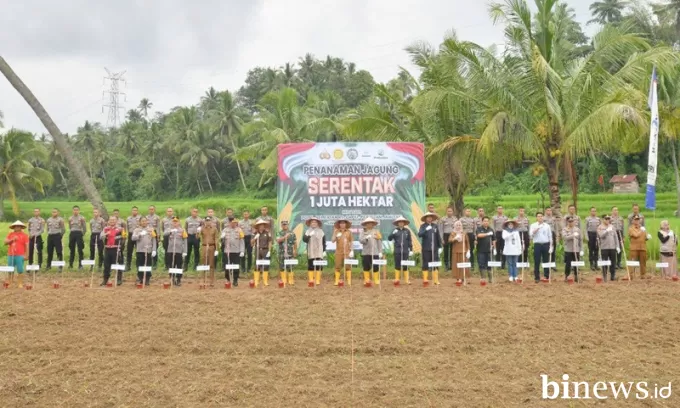 Sawahlunto Mulai Program Penanaman Jagung Serentak Satu Juta Hektar