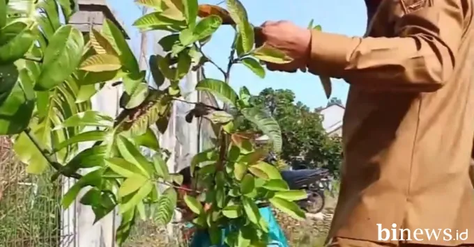 Solok Bersih, Komitmen Nyata 100 Hari Kerja Bupati Jon Firman Pandu dan Wabup H. Candra