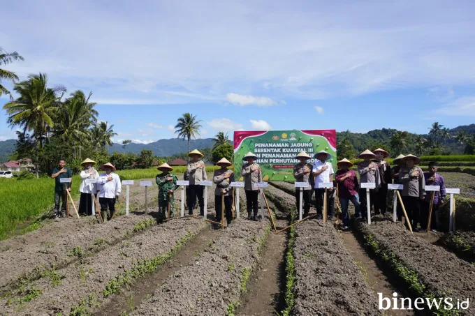 Tim Monev Baharkam Polri dan Wakapolda Sumbar Tanam Jagung Serentak di Padang Panjang