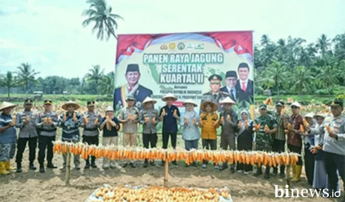 Wali Kota dan Kapolres Sawahlunto Panen Raya Jagung Serentak Dukung Ketahanan Pangan
