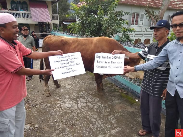 Anies Baswedan Berkurban di Kamang Hilia Agam