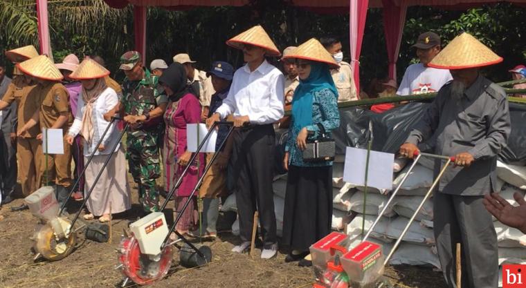 Bupati Limapuluh Kota Safaruddin Tanam Perdana Jagung di Lahan Tidur Ronah