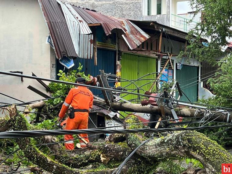 Cuaca Ekstrem di Beberapa Titik Sumbar, Tim PLN Gerak Cepat Evakuasi Jaringan Terdampak