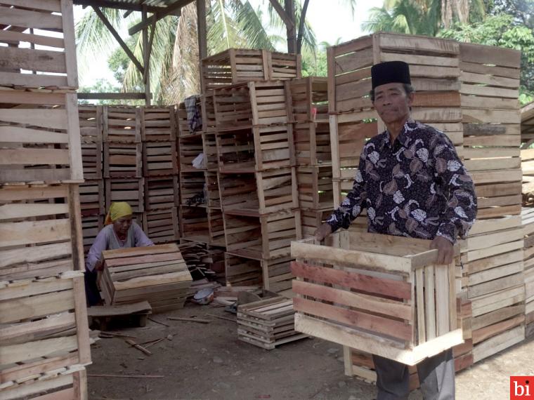 Dari Modal Nol Rupiah, Usaha Peti Buah M. Jinis Bisa Raup Omset Rp4 Juta/Hari