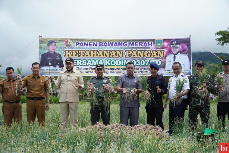 Dihadiri Wako Fadly Amran, Kodim 0307/TD Gelar Panen Raya Bawang Merah