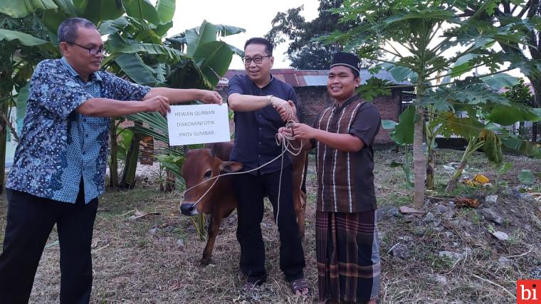 Dinas Kominfotik Sumbar Serahkan Sapi Qurban Ke Masjid Nurul Yaqin