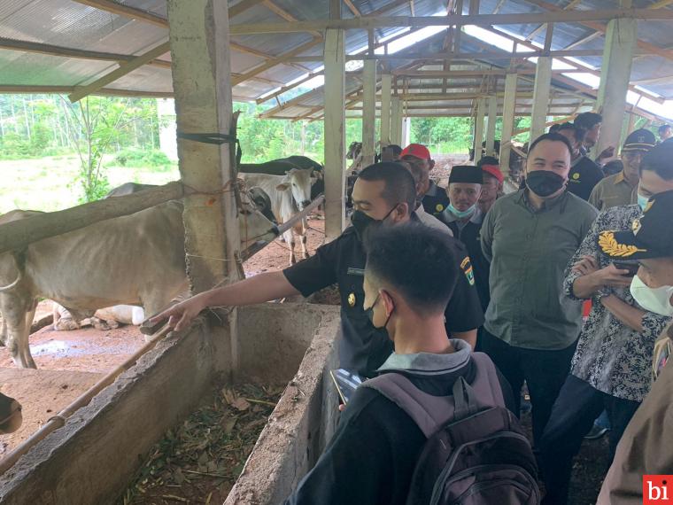 Dorong Peningkatan Produksi, Wagub Audy Bagikan Tips Peternakan di "Nagari Seribu Sapi"