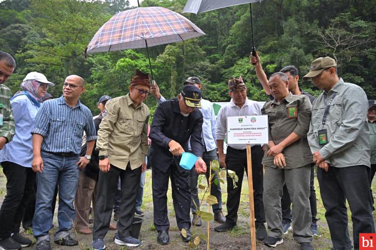 Dukung Kelestarian Hutan dan Kebijakan Nasional, Pemprov Sumbar Gelar Program Penanaman...