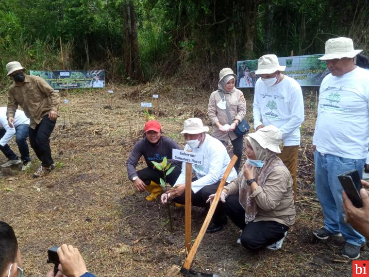 Gubernur dan Wagub Tanam Pohon Mangrove di Pantai Desa Goisooinan Mentawai