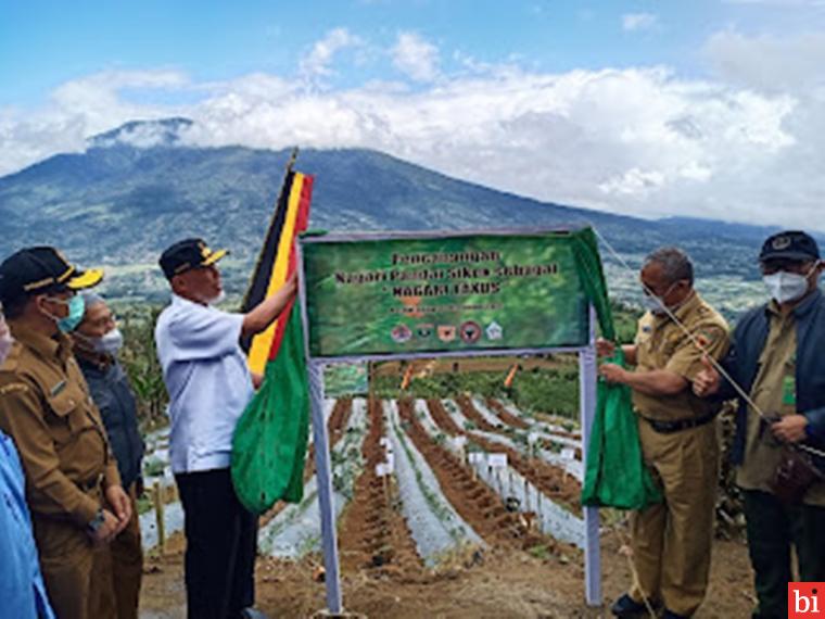 Gubernur Sumbar Canangkan Nagari Taxus di Gunung Singgalang