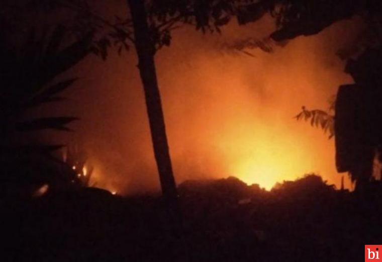 Hutan di Belakang Kantor Bupati Mentawai Terbakar