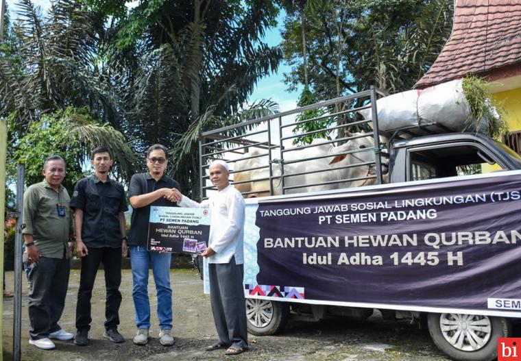 Iduladha 1445 H, Semen Padang Salurkan 33 Ekor Sapi Kurban