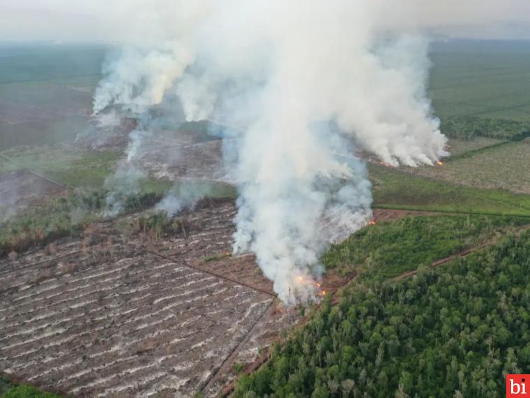 Kadishut Sumbar: Tim Gabungan Berjibaku Padamkan Api Karhutla Pessel