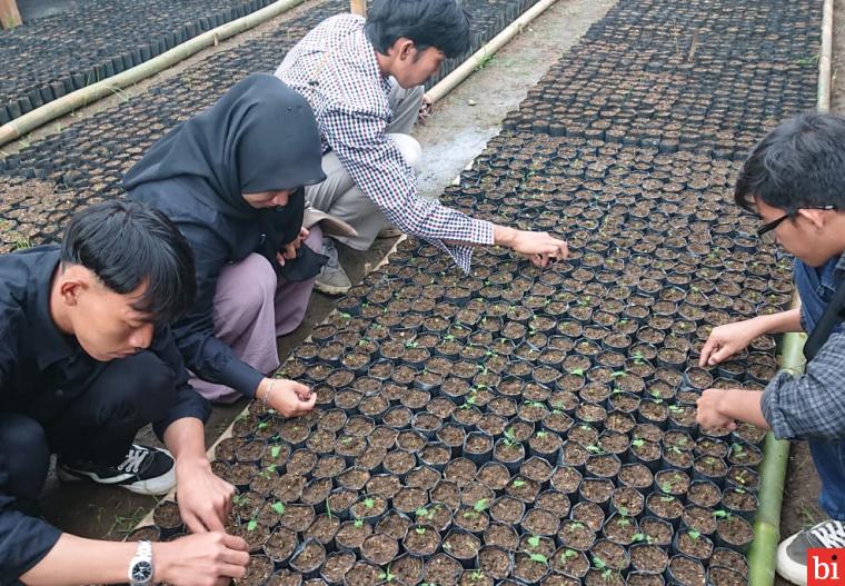 Di area sekitar Kampus I Politeknik Pertanian Negeri...