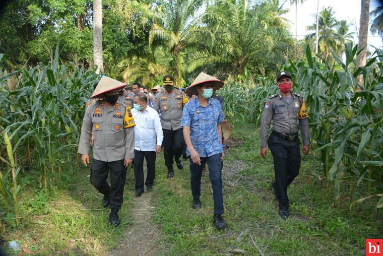 Kapolda Sumbar Bersama Gubernur Tinjau Perkebunan Milik Anggota Polri