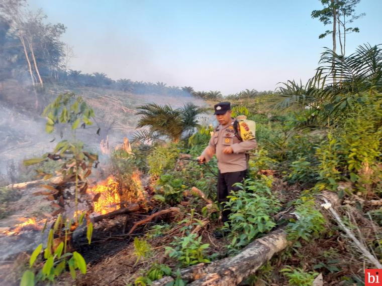 Kebakaran Lahan Sawit Milik Warga di Nagari Koto Besar Kembali Terjadi
