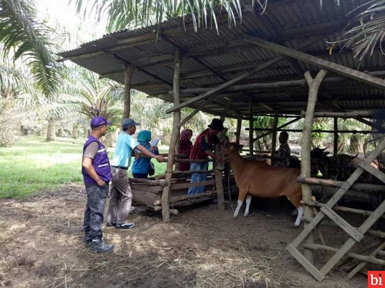 Kecamatan Lunang dan Silaut Jadi Kawasan Potensial