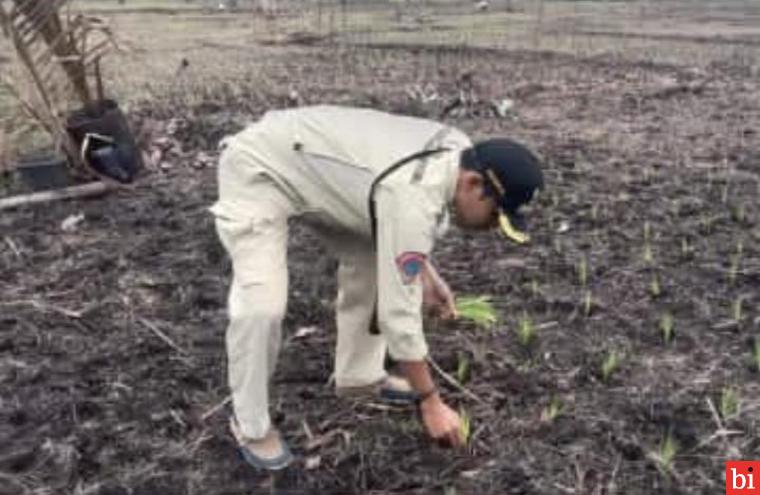 Ketahanan Pangan di Kecamatan Sipora Butuh Dukungan dan Pendampingan