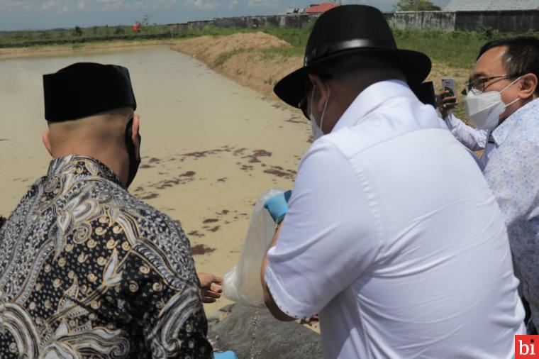 LaNyalla Dorong Pengolahan Udang Jadi Komiditi Prioritas untuk Jadi Produsen Udang...