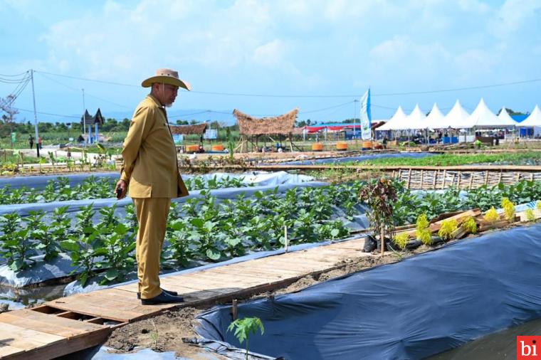 Menyongsong Kesiapan Penas Tani ke XVI Tahun 2023, Gubernur Mahyeldi tinjau Langsung...