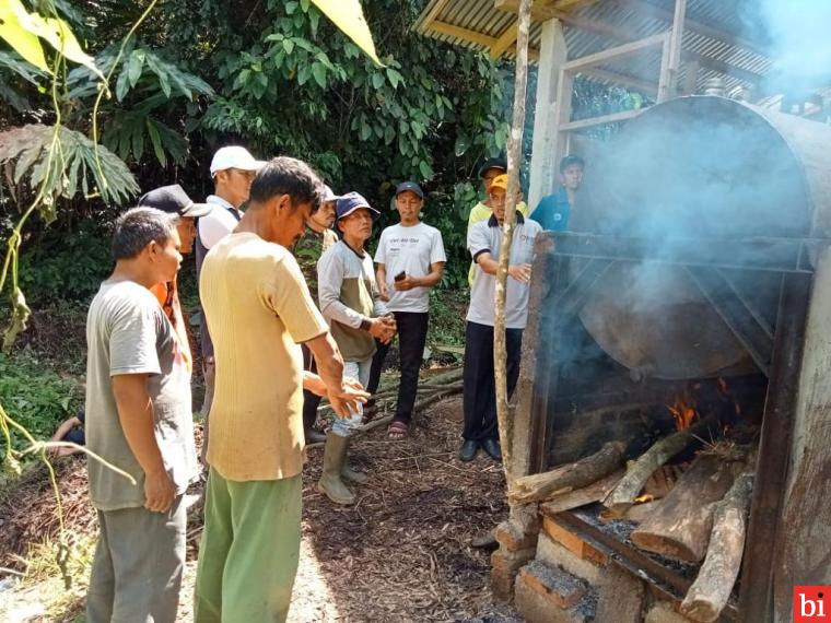 Minyak Kayu Putih, Sumber Ekonomi Baru Masyarakat di Tanjung Bonai Aur