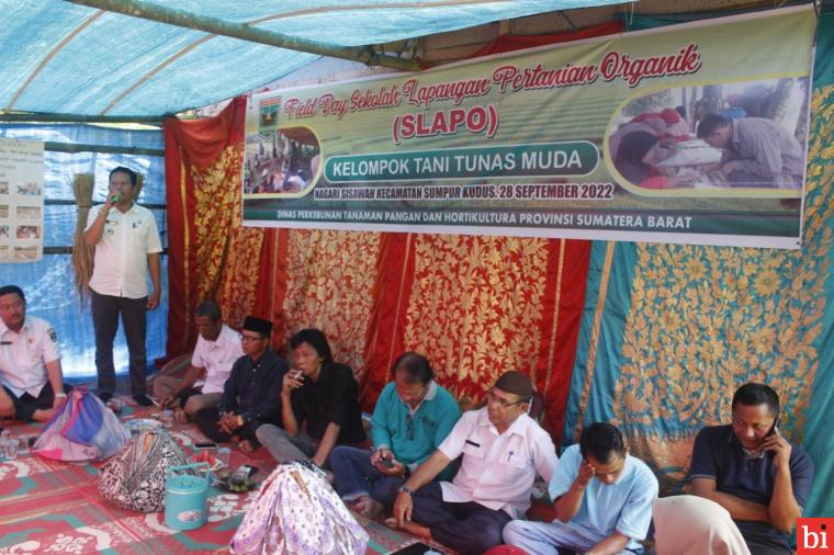 Panen Perdana Padi Organik Sisawah  Sumpur Kudus Berlangsung Meriah