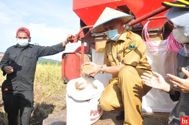 Panen Raya Padi di Sawahlunto, Gubernur Sebut Pertanian Marwah Sumbar yang Harus...