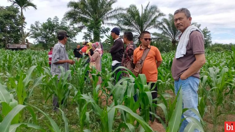 Pemerintah Nagari Bungo Pasang Kunjungan Lapangan ke Keltan Pandan Parian Lunang