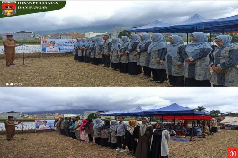 Pemko Bukittinggi Berikan Bantuan Sarana Produksi Pengembangan Tanaman Bawang Merah dan...