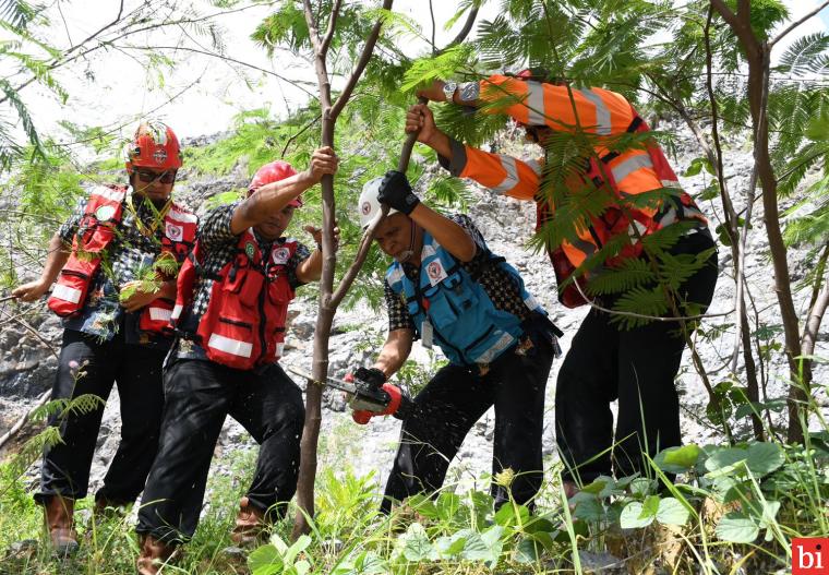 Peringati HUT Ke-65 Pengambilalihan Pabrik, Semen Padang Lakukan Panen Perdana Kaliandra...