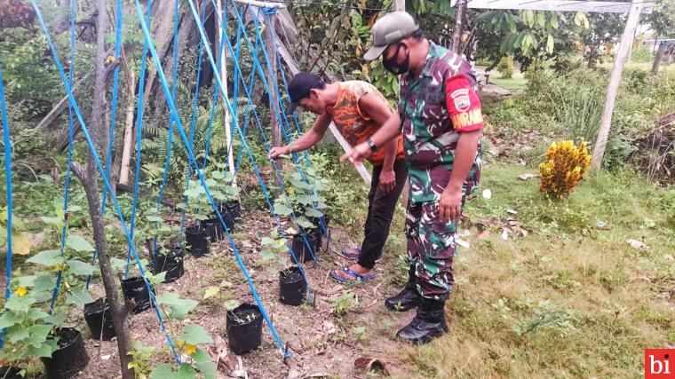 Personil Kodim 0319/Mentawai Manfaatkan Lahan Kosong