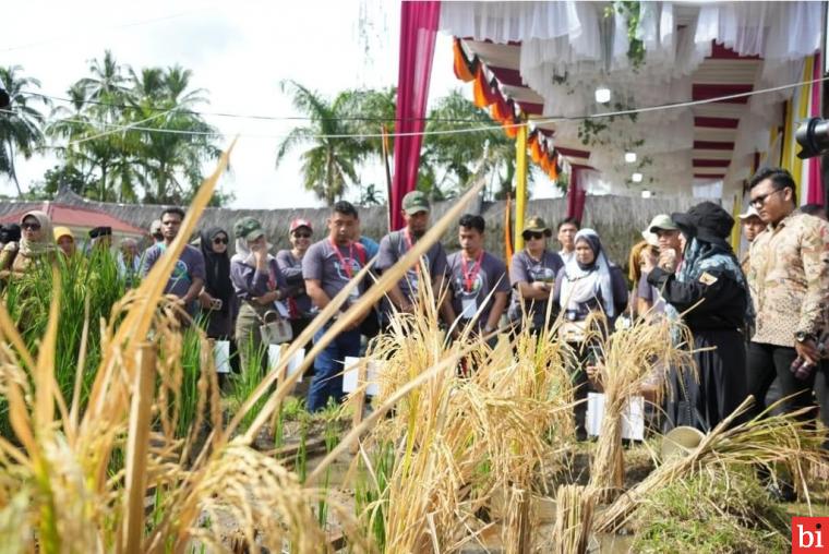Petani Milenial ASEAN Antusias Pada Teknologi Padi Salibu di Field Trip ke Sirukam dan...
