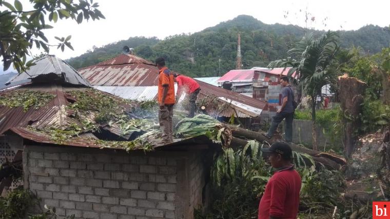 Mushalla Ikhwanul Muslimin 'Tahimpok' Pohon Besar