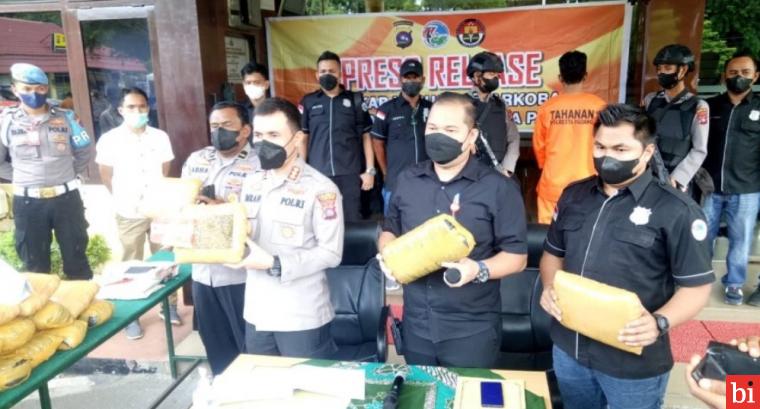 Polresta Padang Gagalkan Peredaran 25 Kilogram Ganja