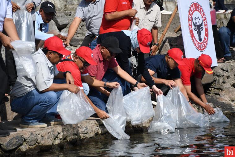 PT Semen Padang Restocking 3000 Ekor Ikan Bilih Hasil Pemijahan di Danau Singkarak