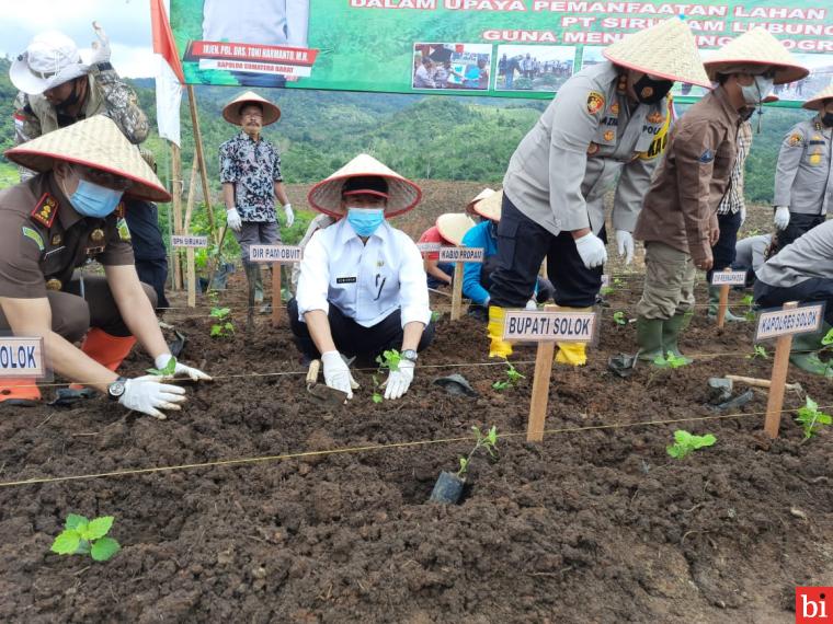 Sekdakap Aswirman Dampingi Kapolda Sumbar Tanam Bibit Nilam di Nagari Supayang Kabupaten...