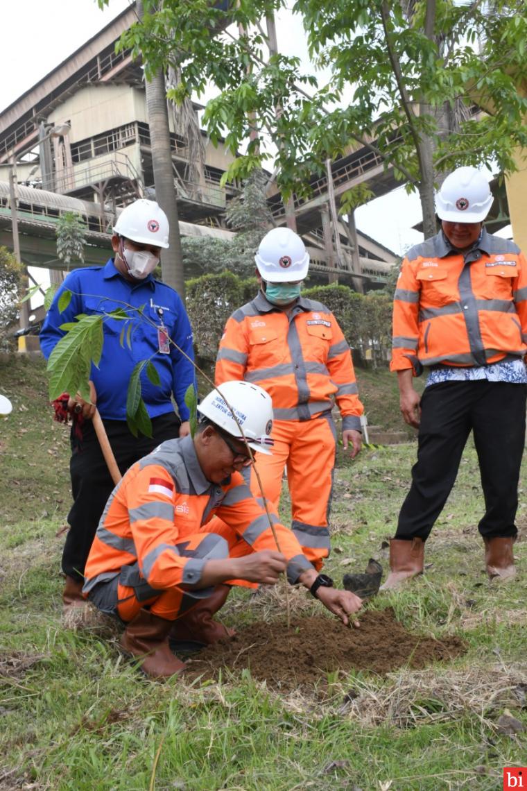 Semen Padang Kembali Hijaukan  Area Pabrik