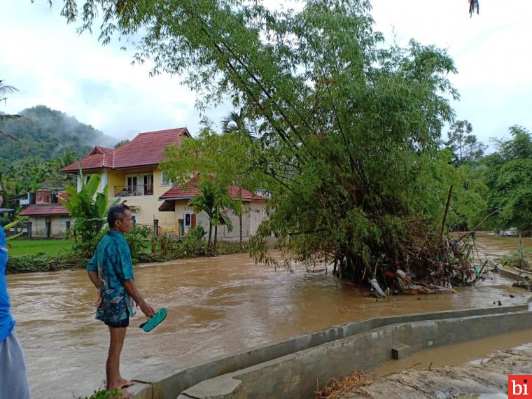 Sungai Batang Sumpuh Meluap, Jalan Kabupaten Terputus dan Puluhan Hektar Sawah Tersapu...