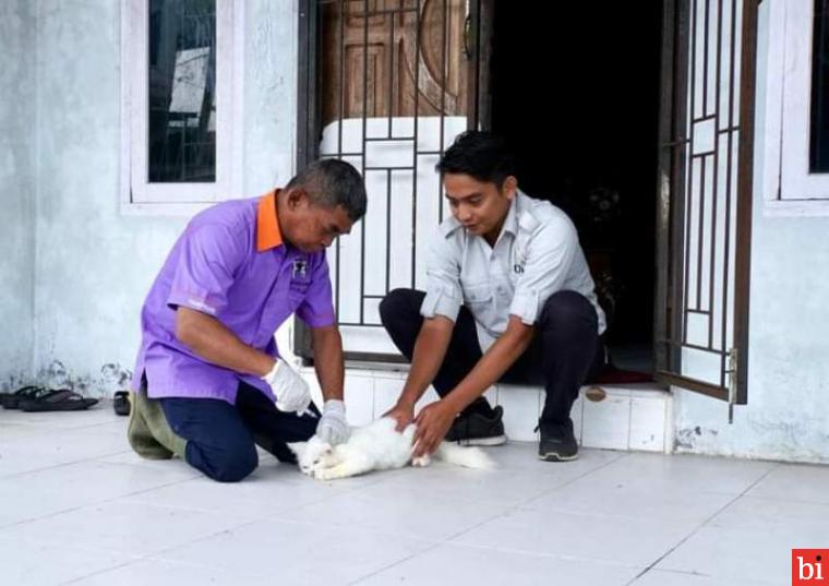 Suntik 702 HPR, Dispangtan Tuntaskan Vaksinasi Rabies Gratis di Seluruh Kelurahan