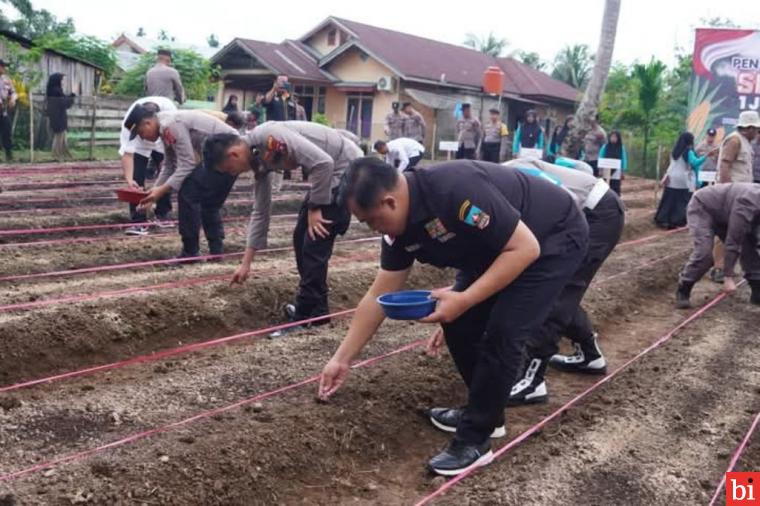 Sutan Riska Berpartisipasi Dalam Penanaman Satu Juta Ha Jagung Bersama Forkopimda