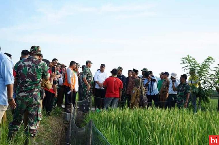 Sutan Riska dan Dandrem 032 Wirabraja Tinjau Denfarm Padi 'Moeldoko'