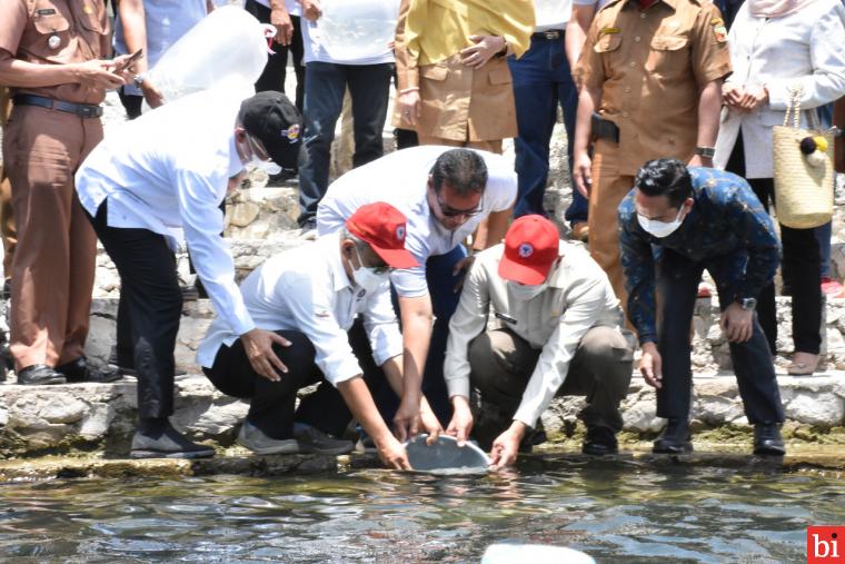 Tebar 4000 Bibit Ikan Bilih di Danau Singkarak, PT Semen Padang Diapresiasi Gubernur